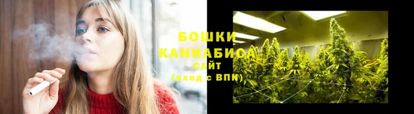 ешки Арсеньев