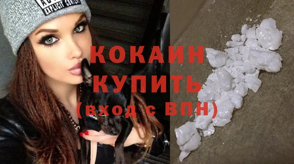 ешки Арсеньев