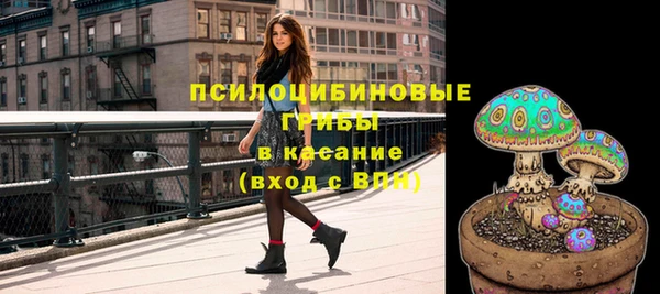 ешки Арсеньев