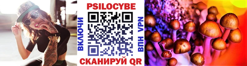 Псилоцибиновые грибы MAGIC MUSHROOMS  Сясьстрой 